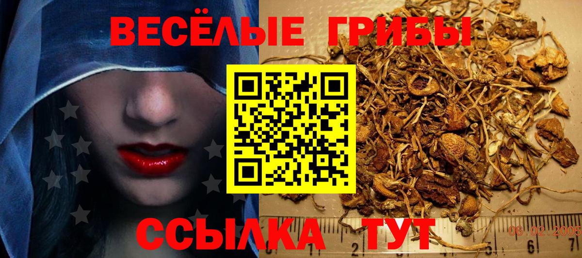 что такое   Псилоцибиновые грибы мухоморы  Вход с VPN  Буйнакск 