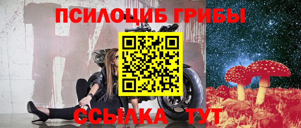 Псилоцибиновые грибы GOLDEN TEACHER Буйнакск